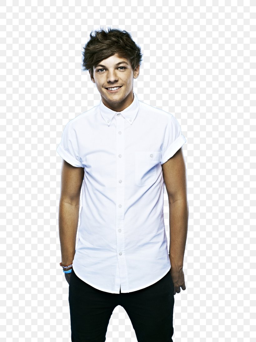Louis Tomlinson One Direction The X Factor Celebrity Teen Choice Awards, PNG, 730x1094px, Watercolor, Cartoon, Flower, Frame, Heart Download Free