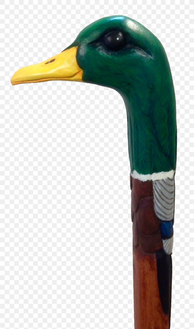 Mallard Goose Duck Cygnini Bird, PNG, 991x1676px, Mallard, Art, Beak, Bird, Cygnini Download Free