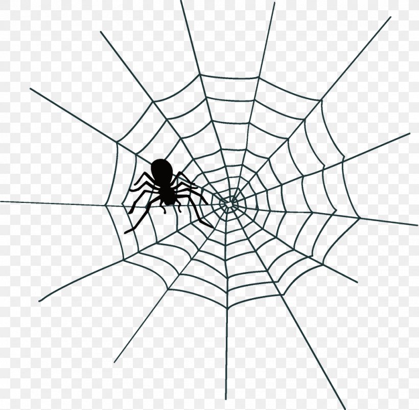 Spider Web Halloween, PNG, 1026x1004px, Spider Web, Blackandwhite, Halloween, Symmetry, White Download Free