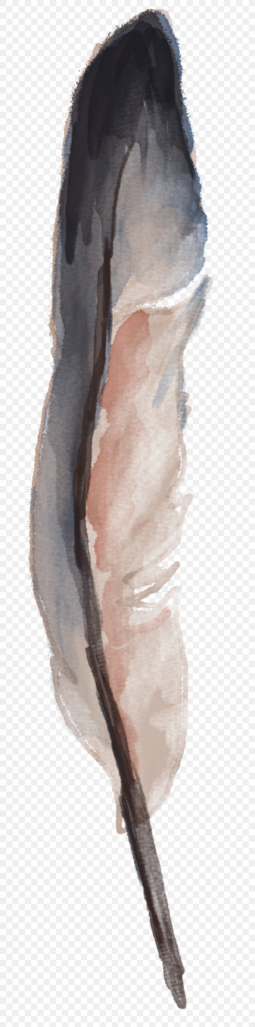 Watercolor Painting Feather Drawing, PNG, 977x3927px, Watercolor Painting, Color, Data Compression, Drawing, Feather Download Free