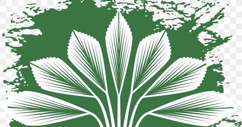 Arecaceae Putrajaya Botanical Garden Botany, PNG, 1200x630px, Arecaceae, Arecales, Black And White, Botanical Garden, Botany Download Free
