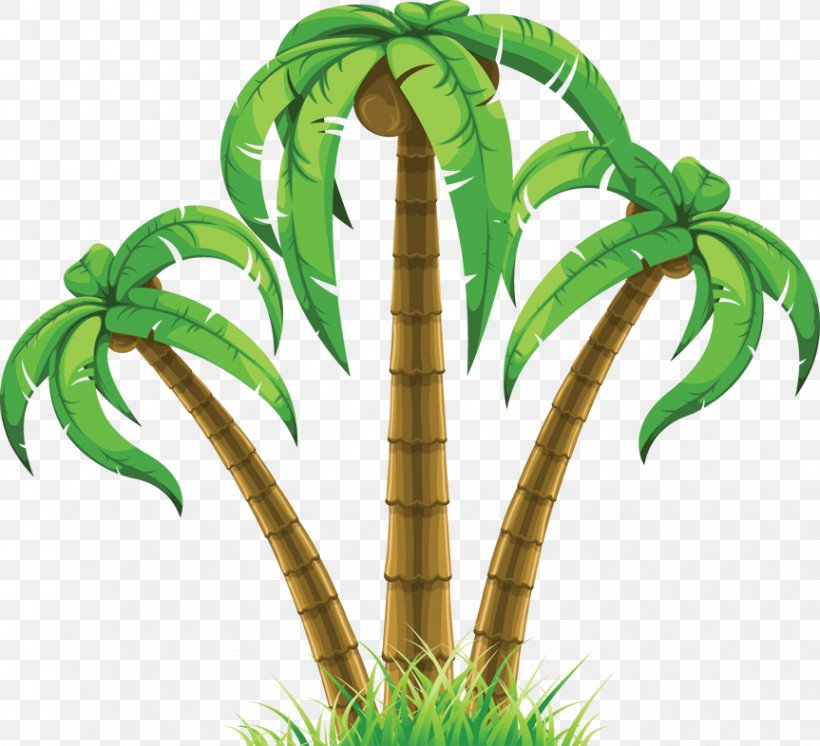 Clip Art Palm Trees Image Vector Graphics, PNG, 863x786px, Palm Trees, Arecales, Flowerpot, Grass, Grass Family Download Free