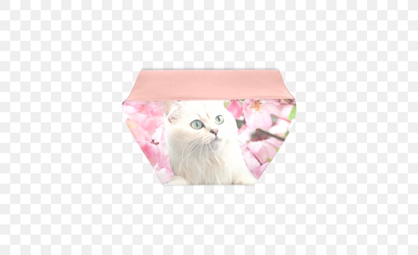 Kitten Pink M Whiskers RTV Pink Cherry Blossom, PNG, 500x500px, Kitten, Box, Cat, Cherry Blossom, Pink Download Free