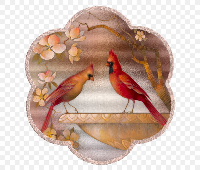 Parrot Bird Embroidery Clip Art, PNG, 700x700px, Parrot, Art, Beak, Bird, Cardinal Download Free