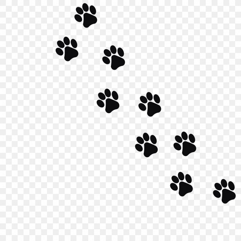 Cat Dog Kitten Footprint Paw, PNG, 1280x1280px, Cat, Animal, Animal Track, Black, Black And White Download Free