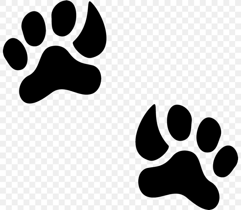 Dog And Cat, PNG, 801x716px, Animal Track, Animal, Bear, Blackandwhite, Cat Download Free