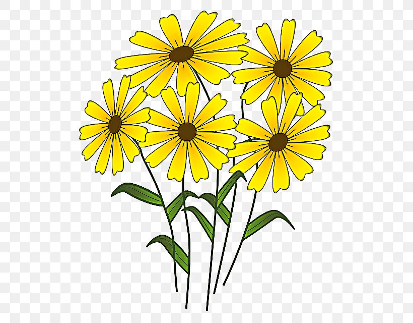 Drawing Of Family, PNG, 547x640px, Cartoon, Chamomile, Cut Flowers, Daisy Family, Drawing Download Free
