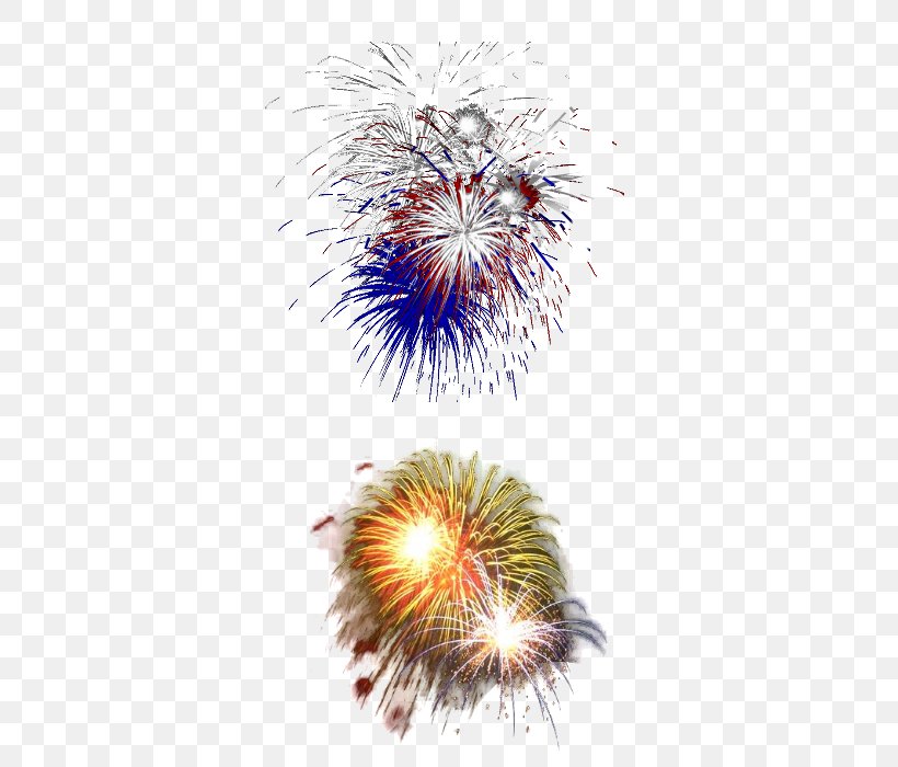 Fireworks Artificier Party, PNG, 400x700px, Fireworks, Artificier, Blog, Event, Explosive Material Download Free