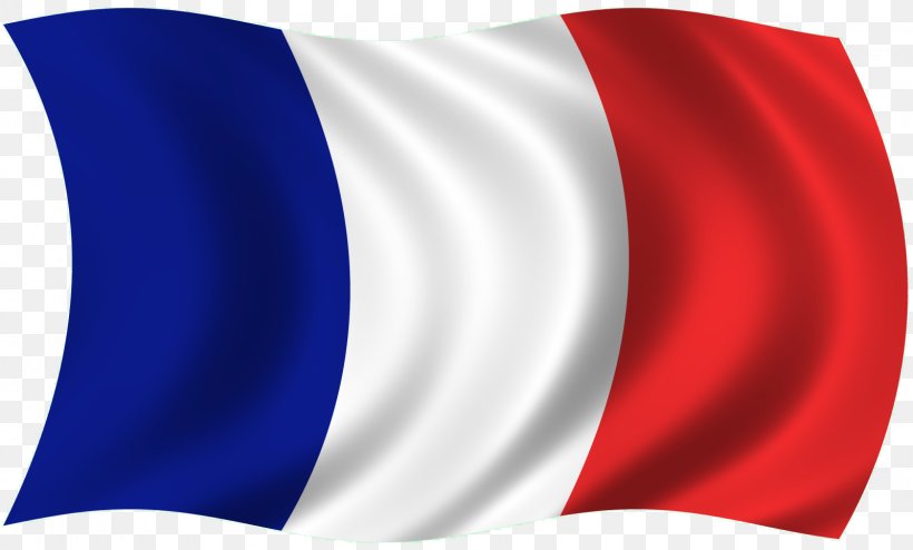 Flag Of France Flag Of Canada Gallery Of Sovereign State Flags Pelves, PNG, 1600x964px, Flag Of France, Electric Blue, Ensign, Flag, Flag Of Canada Download Free