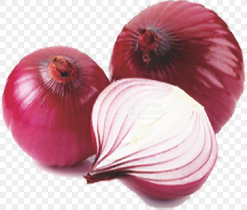 French Onion Soup Garlic Allium Fistulosum Organic Food, PNG, 890x760px, Onion, Allium, Allium Fistulosum, Food, French Onion Soup Download Free