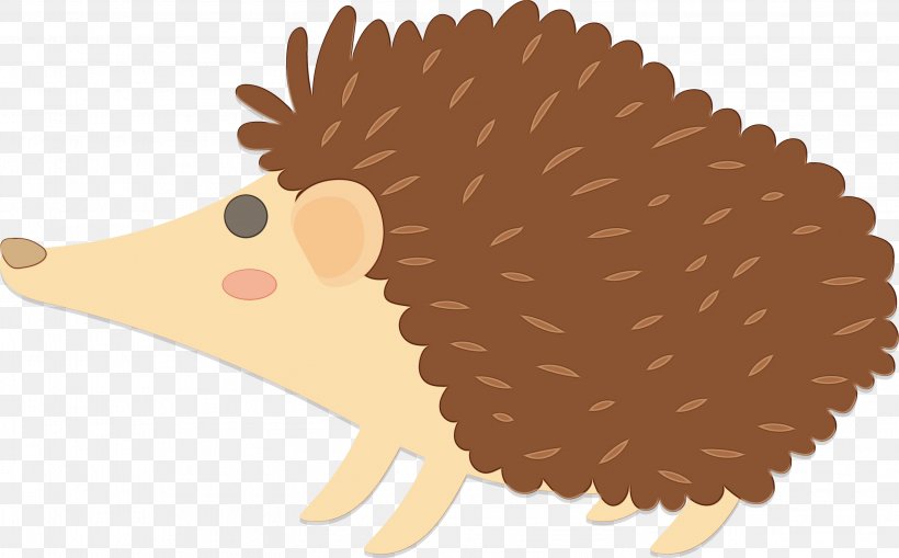 Hedgehog Erinaceidae Porcupine New World Porcupine Clip Art, PNG, 2951x1835px, Watercolor, Domesticated Hedgehog, Erinaceidae, Hedgehog, New World Porcupine Download Free