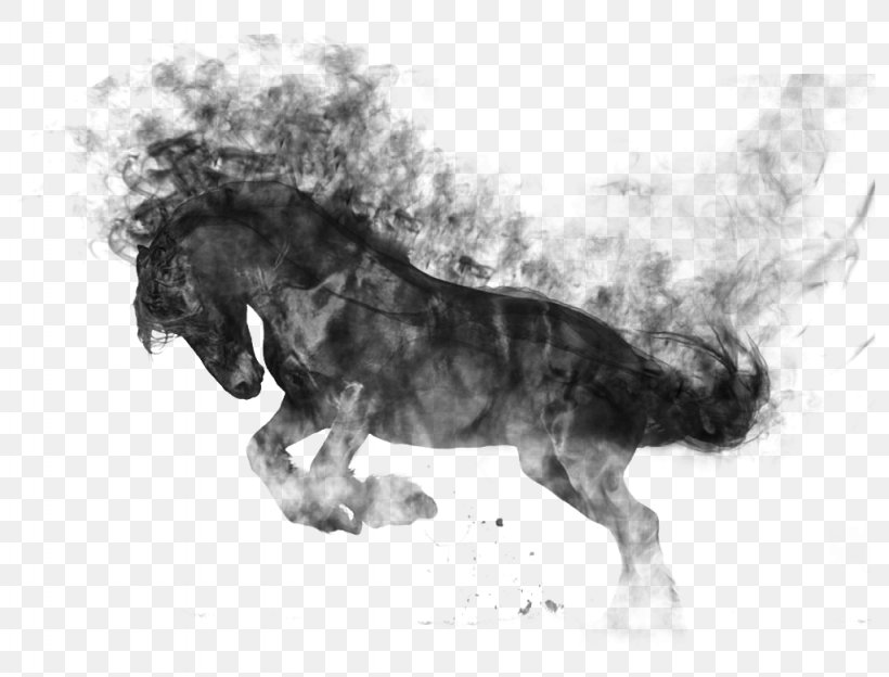 Horse Gait Dog Breed, PNG, 1024x780px, Horse, Black, Black And White, Carnivoran, Dog Breed Download Free