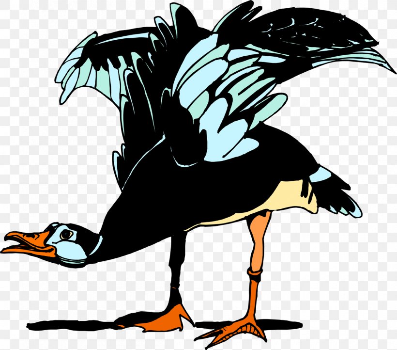 Water Bird Goose Cygnini Anatidae, PNG, 1200x1057px, Bird, Anatidae, Animal, Beak, Cartoon Download Free