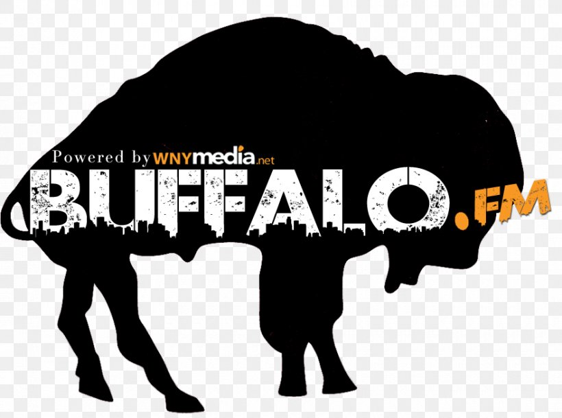 Buffalo Bills 1969 NFL/AFL Draft Decal Detroit Lions, PNG, 880x654px, Buffalo Bills, American Football, American Football League, Buffalo, Cattle Like Mammal Download Free