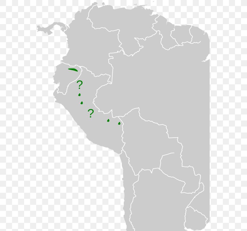 Ecuadorian Cacique Bird Wikipedia Plumage Grackles, PNG, 573x767px, Bird, Cacique, Common Blackbird, Grackles, Map Download Free