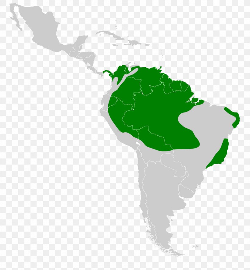 Latin America Giant Cowbird World Map Screaming Cowbird, PNG, 947x1024px, Latin America, Americas, Blank Map, Brood Parasite, Geography Download Free