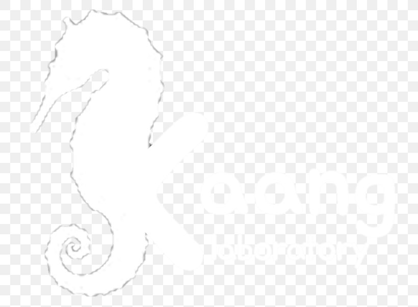 Line Art White Desktop Wallpaper Sketch, PNG, 758x603px, Line Art, Animal, Artwork, Black, Black And White Download Free