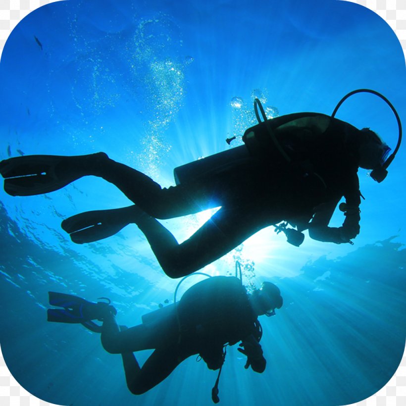 Scuba Diving Underwater Diving Professional Association Of Diving Instructors Scuba Set Dive Center, PNG, 1024x1024px, Scuba Diving, Aqua, Aquanaut, Buoyancy Compensator, Dive Boat Download Free