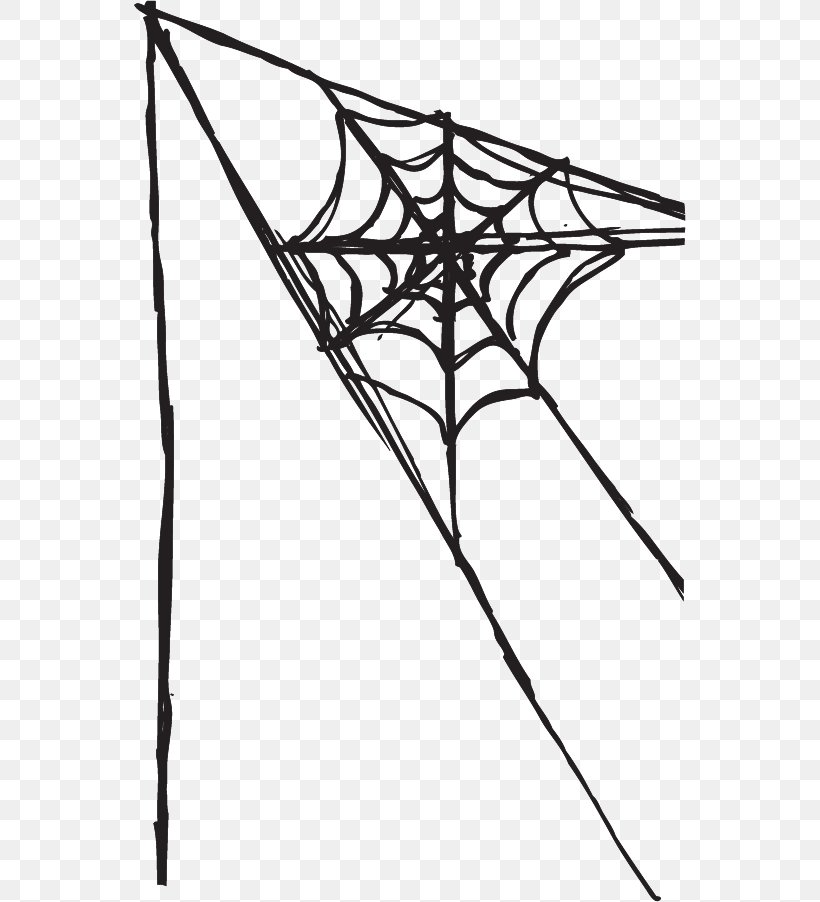 Spider Web Clip Art, PNG, 552x902px, Spider, Area, Black, Black And White, Blog Download Free