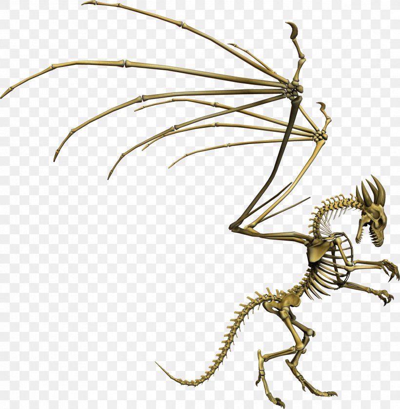 Wing Bone Human Skeleton Dragon, PNG, 2380x2434px, Wing, Bone, Branch, Chinese Dragon, Dragon Download Free