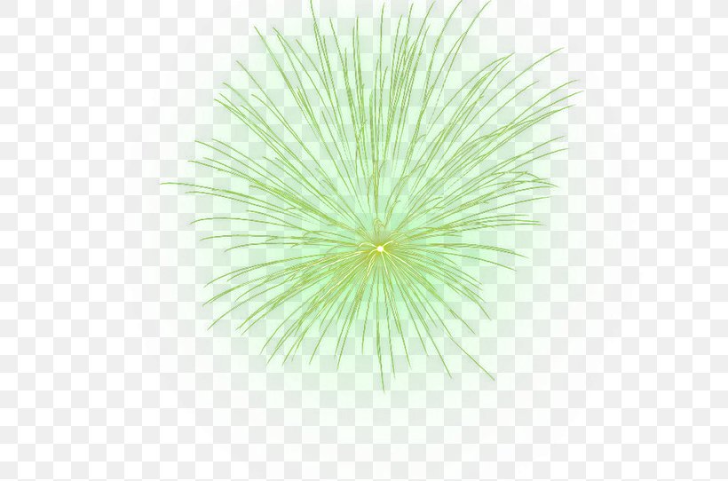 Green Pattern, PNG, 650x542px, Green, Grass, Symmetry, Tree, Yellow Download Free