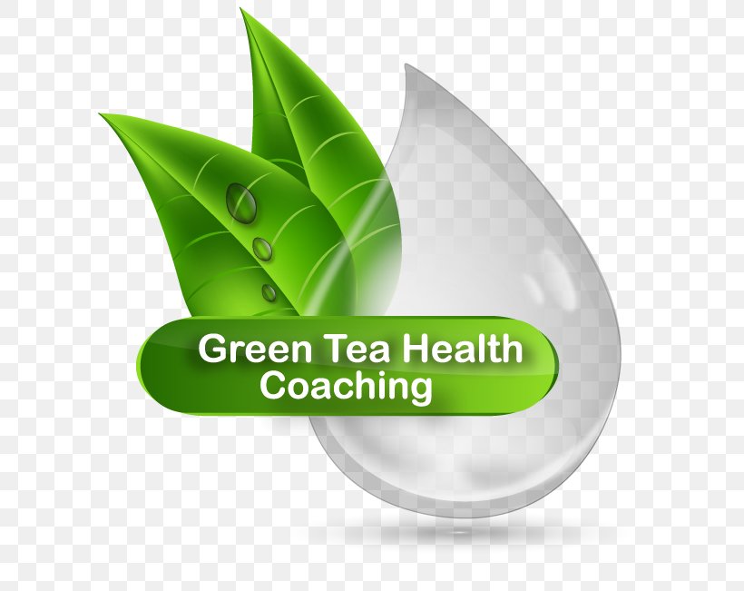Green Tea Health Coaching, PNG, 618x651px, Health Coaching, Body Mass Index, Brand, Coaching, Feeling Tired Download Free