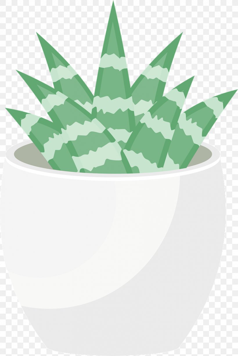 Leaf Tree, PNG, 856x1280px, Leaf, Agave, Aloe, Flowerpot, Green Download Free