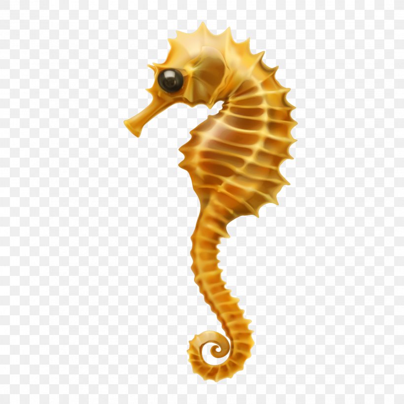Seahorse Clip Art, PNG, 2144x2144px, Seahorse, Can Stock Photo, Drawing, Fish, Organism Download Free