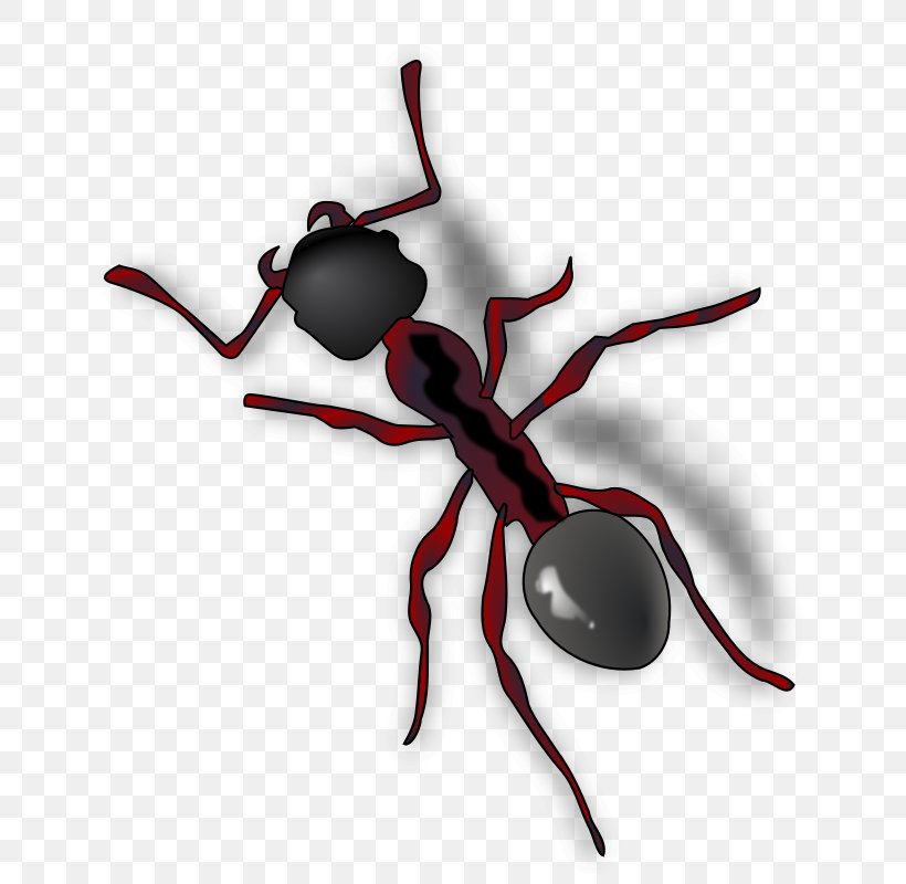 Ant Clip Art, PNG, 680x800px, Ant, Ant Colony, Arthropod, Black Garden Ant, Drawing Download Free