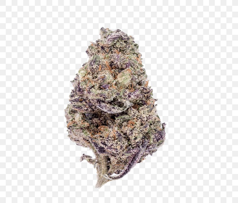 Purple Haze Cannabis Leafly Skunk, PNG, 700x700px, Purple Haze, Bud, Cannabis, Cannabis Sativa, Hashish Download Free