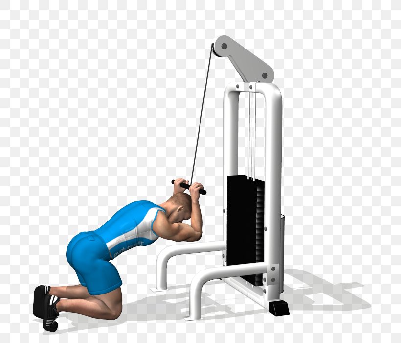 Crunch Exercise Abdomen Rectus Abdominis Muscle Bodybuilding, PNG, 700x700px, Crunch, Abdomen, Abdominal Exercise, Abdominal External Oblique Muscle, Arm Download Free