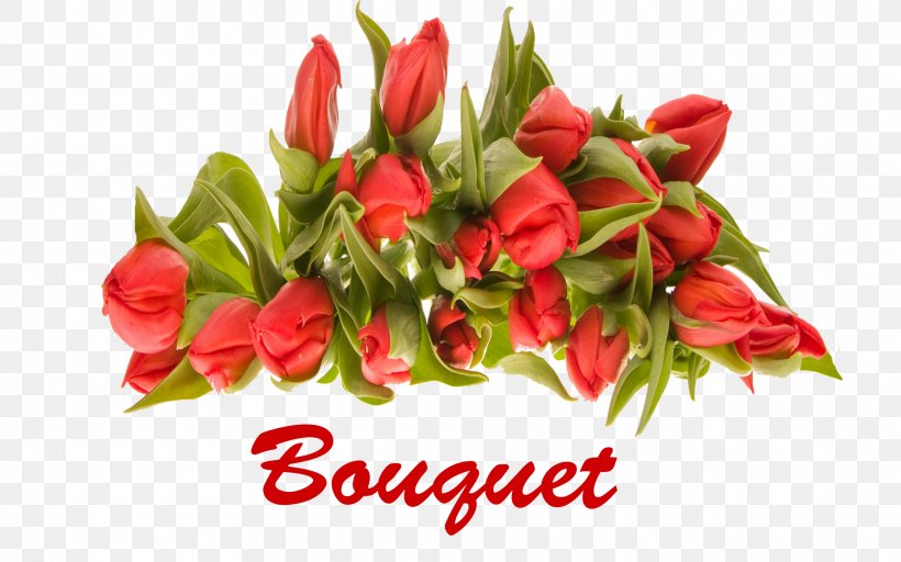 Floral Design Flower Bouquet Cut Flowers Garden Roses, PNG, 1920x1200px, Floral Design, Bell Peppers And Chili Peppers, Bud, Chili Pepper, Cut Flowers Download Free