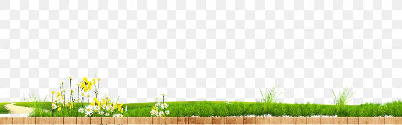Lawn Wheatgrass Land Lot Energy Wallpaper, PNG, 1920x600px, Lawn, Commodity, Computer, Energy, Field Download Free