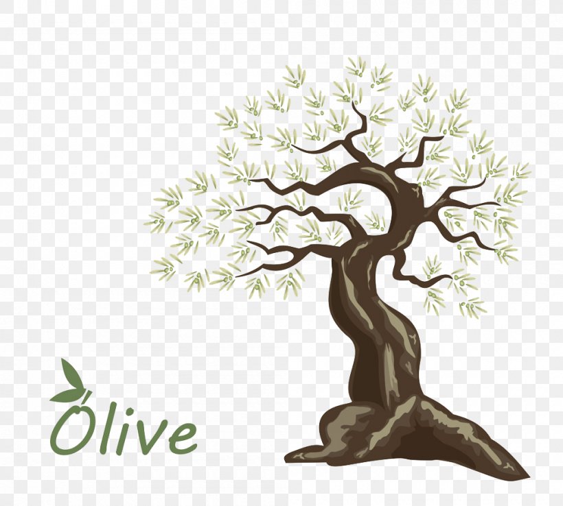 Olive Oil Tree, PNG, 1000x900px, Olive, Branch, Houseplant, Logo, Olive Oil Download Free