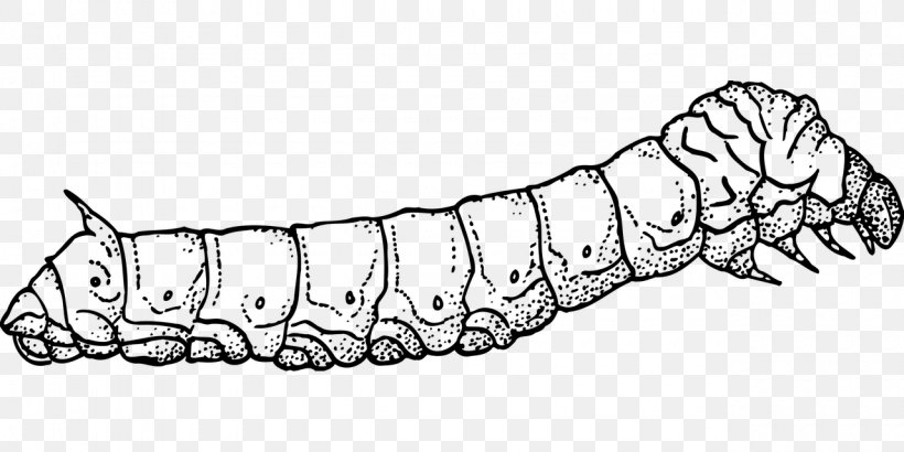 Butterfly Silkworm Insect Drawing, PNG, 1280x640px, Butterfly, Arm, Artwork, Black And White, Bozzolo Download Free