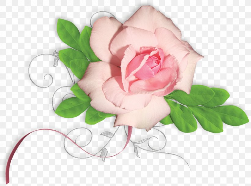 Garden Roses Floral Design Flower, PNG, 1000x742px, Garden Roses, Cut Flowers, Designer, Flora, Floral Design Download Free