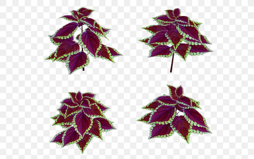 Maple Leaf Purple, PNG, 600x513px, Maple Leaf, Leaf, Maple, Plant, Purple Download Free