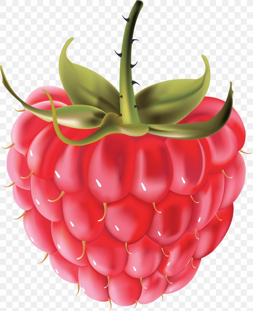 Raspberry Clip Art, PNG, 2846x3507px, Macaron, Berry, Black Raspberry, Blueberry, Food Download Free