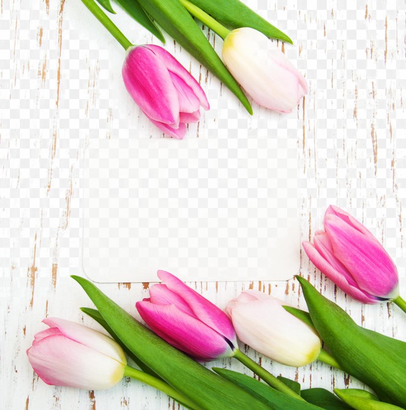 Tulip Flower Poster Photography, PNG, 1100x1111px, Tulip, Artificial Flower, Cut Flowers, Floristry, Flower Download Free