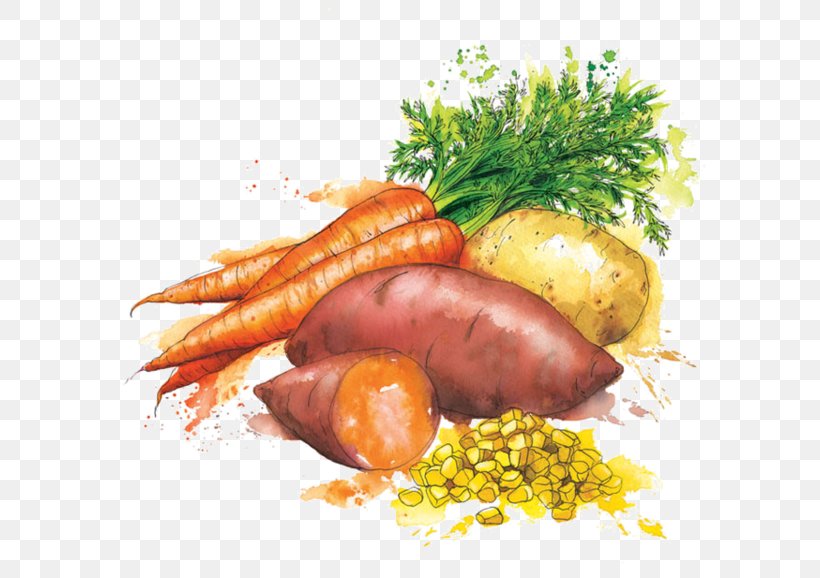 Vegetable Heinz Baby Food Watercolor Painting, PNG, 600x578px, Vegetable, Animal Source Foods, Art, Baby Food, Carrot Download Free