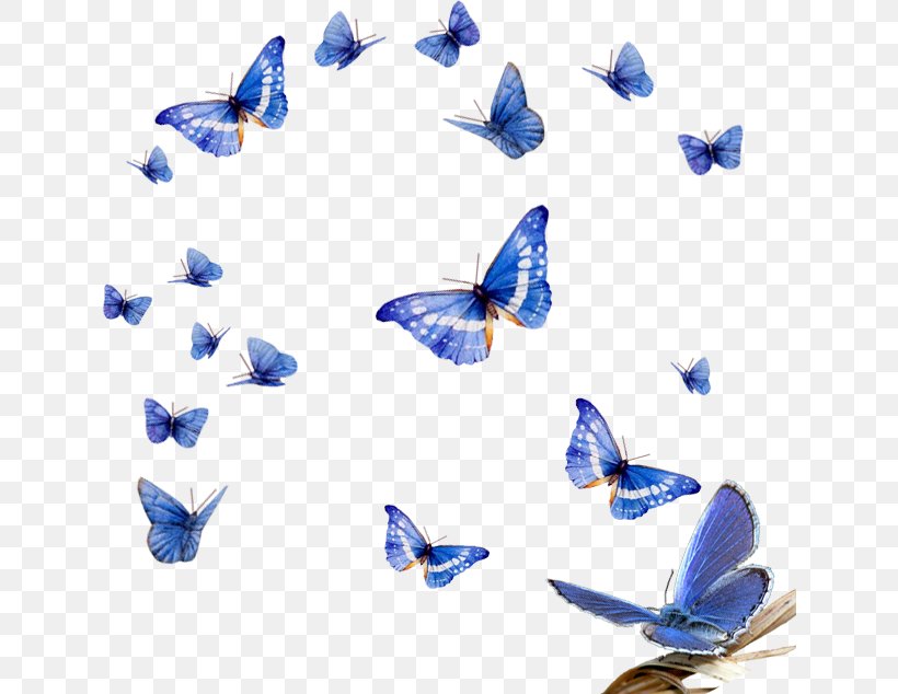 Blue Morpho Butterfly Insect, PNG, 634x634px, Butterfly, Blue, Blue Morpho Butterfly, Butterflies And Moths, Cobalt Blue Download Free