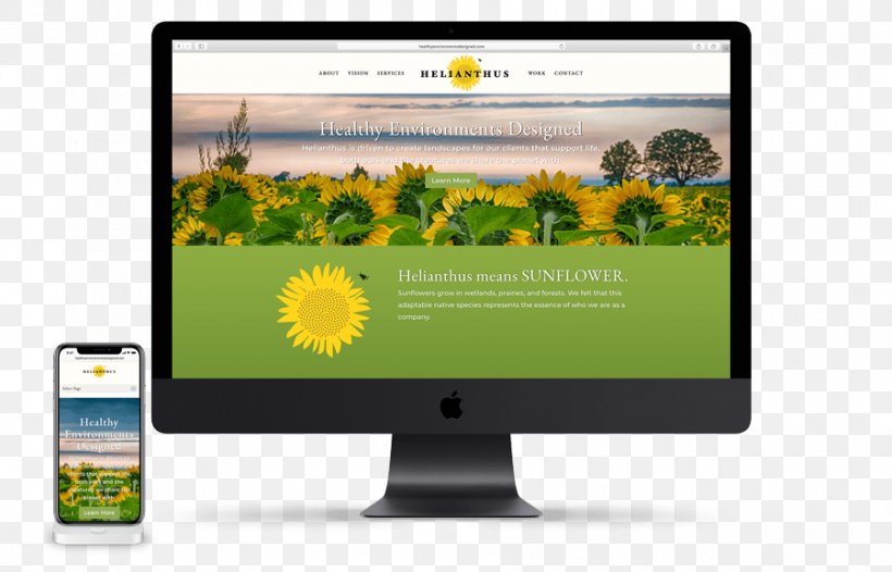 Common Sunflower Sustainable Landscaping Computer Monitors Multimedia, PNG, 900x578px, Common Sunflower, Advertising, Brand, Collaboration, Computer Monitor Download Free