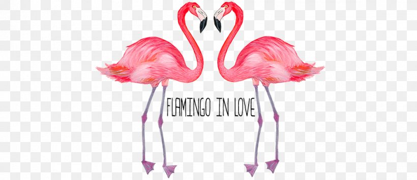 Flamingos Desktop Wallpaper Photography, PNG, 998x433px, Flamingos, Advertising, Computer, Cosa, Email Download Free