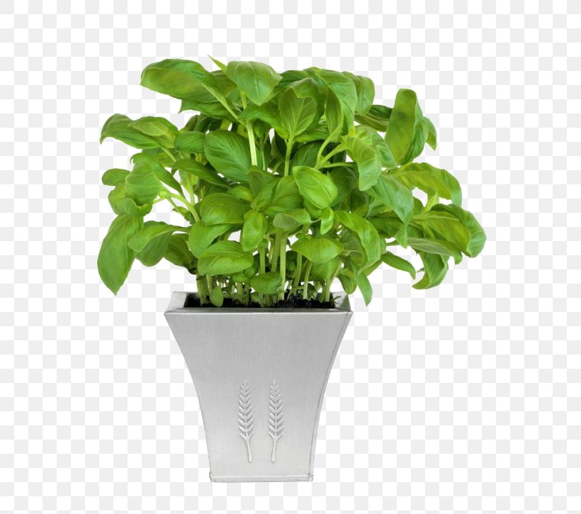 Flowerpot Houseplant Grow Light Sowing, PNG, 714x725px, Flowerpot, Basil, Bedding, Bonsai, Cone Download Free