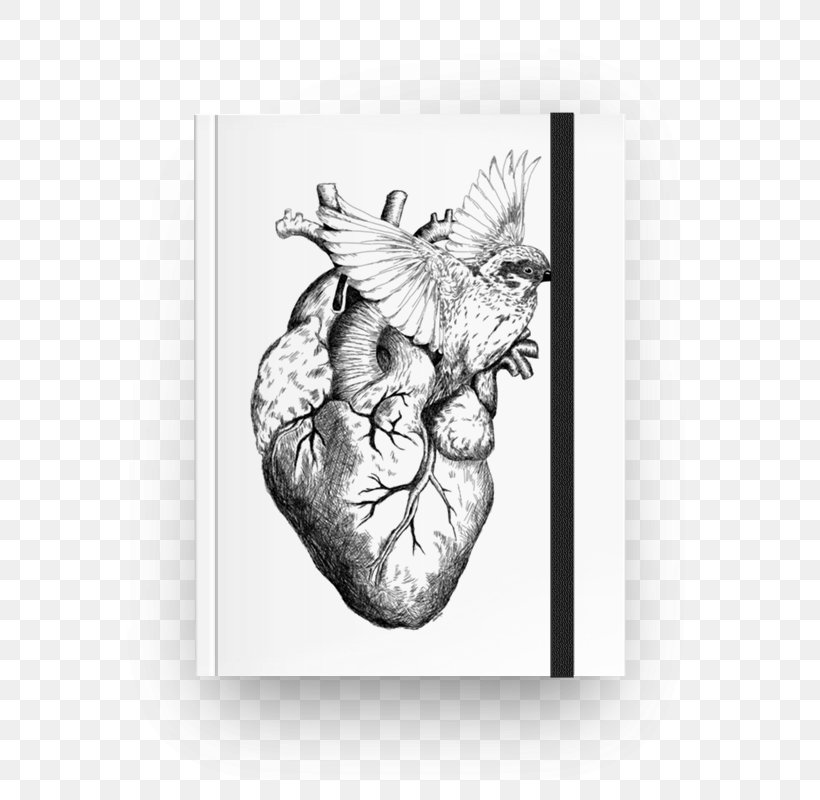 Heart Drawing Watercolor Painting, PNG, 800x800px, Watercolor, Cartoon, Flower, Frame, Heart Download Free