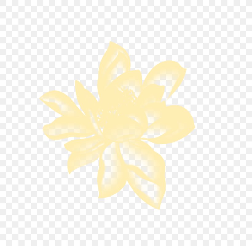 Petal, PNG, 800x800px, Petal, Flower, White, Yellow Download Free