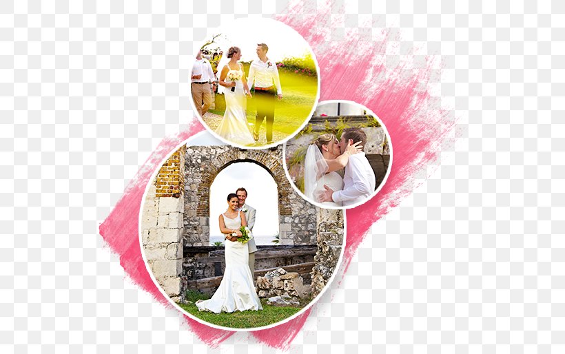 Rose Hall, Montego Bay Wedding Planner Wedding Reception, PNG, 541x514px, Montego Bay, Hilton Hotels Resorts, House, Picture Frame, Wedding Download Free