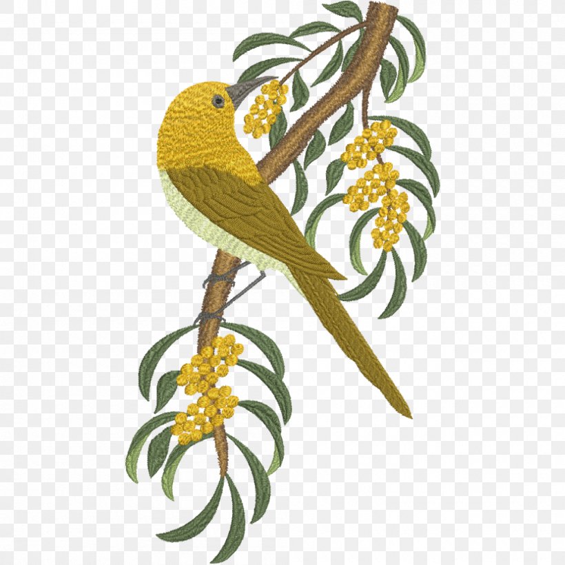 Bird Gang-gang Cockatoo Machine Embroidery, PNG, 1000x1000px, Bird, Art, Australia, Australian King Parrot, Beak Download Free