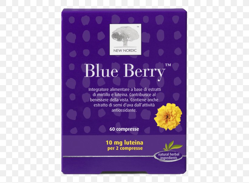 Blueberry Tablet Computers Health Lutein, PNG, 602x602px, Blueberry, Bilberry, Dietary Supplement, European Blueberry, Eyebright Download Free