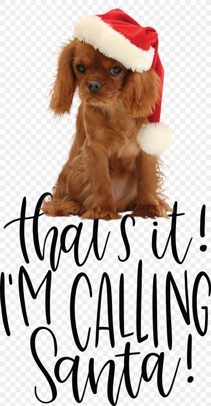 Calling Santa Santa Christmas, PNG, 1563x3000px, Calling Santa, Biology, Breed, Christmas, Companion Dog Download Free